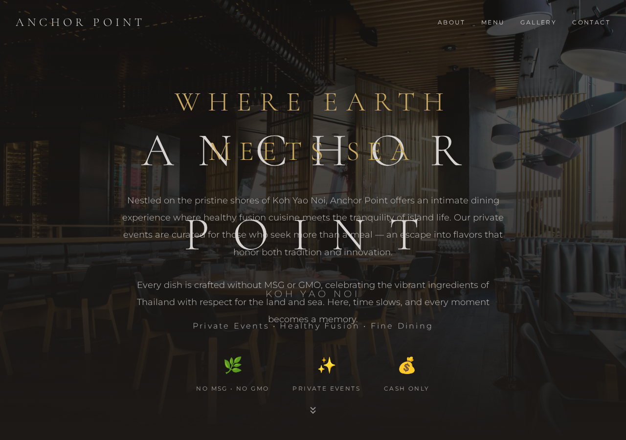 Anchor Point Fine